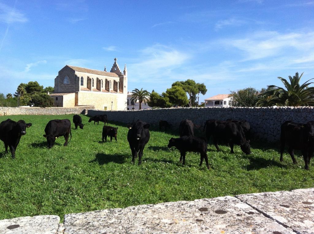 Llucmacanes Gran Agroturismo Mahón Exteriér fotografie